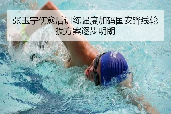 张玉宁伤愈后训练强度加码国安锋线轮换方案逐步明朗（STARSPORTS）